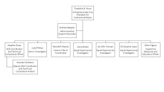 A traditional organizational chart depicting reporting lines within IEEO.